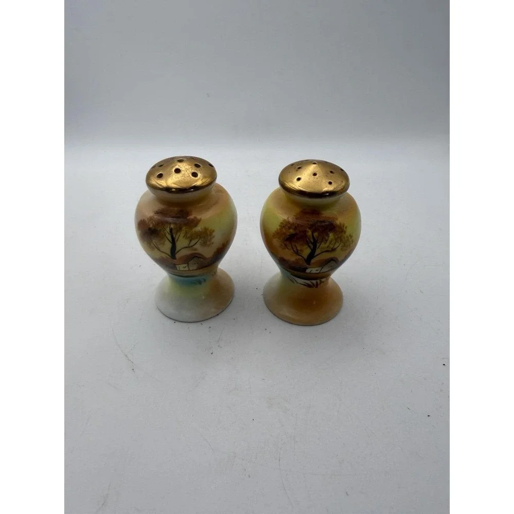 Vintage Hand Painted Porcelain Salt & Pepper Shakers Scenic Landscape
